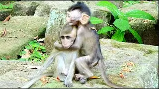 Really sweet hug & love precious baby Quinton & Dakota. Adorable baby Dakota & Quinton are so active