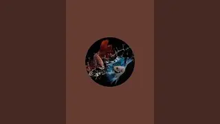 pavish  is live