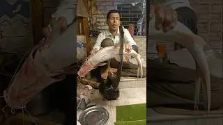 🔥😱 Rare Giant Ganga River Ayer Fish Cutting Skills Live #shorts #viral