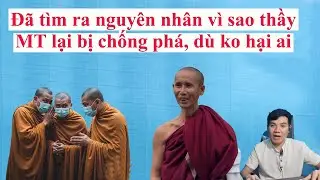Nguyên nhân thầy Minh Tuệ bị chống phá là do điều này