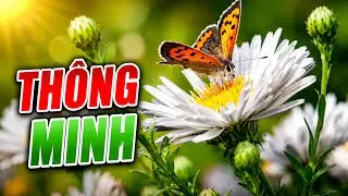 35 Loài động vật dễ Thương… mọi người yêu thích 