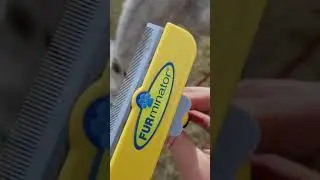 It's horse shedding season again...the FURminator review