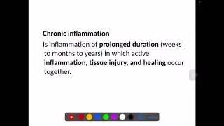 🔥Pathology Course - Lecture 4-Chronic Inflammation