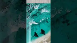 картина из эпоксидной смолы