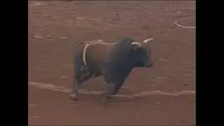 Jigger bucks Reed Corder - 99 PBR Guthrie