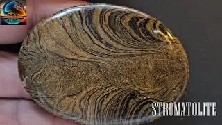 The Crystal Echoes -  Stromatolite