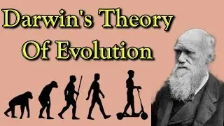 Darwin's Theory Of Evolution Easy Explained | Natural Selection |Survival Of the Fittest | Class 12