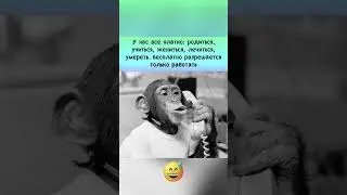 #юмор #смехпродлеваетжизнь #смешнойшортс #прикол #мемас #мем #анекдоты #смех #tiktok #смешно #шутки
