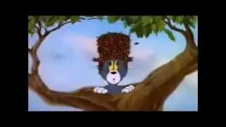 Tom and Jerry exaggeration