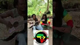 The latest music for tax enforcement and 2027 election 