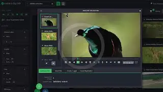 IPV Curator Makes Remote Editorial Possible For Post Production
