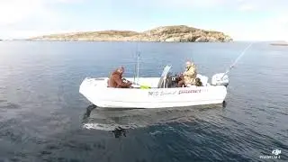 Fishing and seal hunting - Fleina - Gildesk&aring;l - Salten - Northern Norway 12.05.2017