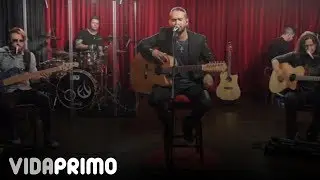 Anima Inside - Everything (Unplugged Live)
