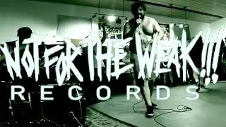 bato at nftw record store