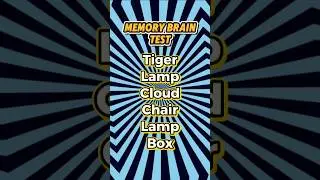 The Memory Retention Experiment