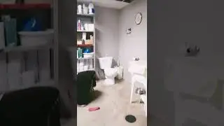 SPPIi TOLIT