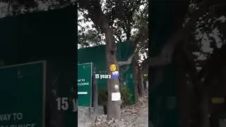 Tree Age manipulation by the Authority - Pune Municipal Corporation
