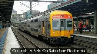 Sydney Trains Vlog 1371: Central - V Sets On Suburban Platforms