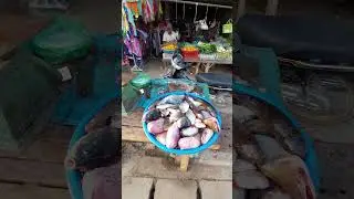 Exploring the Vibrant Roadside Market 🛍️ | Hidden Gems and Local Delights