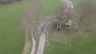 De kroezeboom in Fleringen na een snoeibeurt