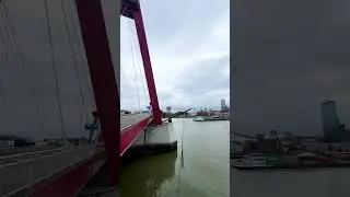 Willemsbrug Bridge in Rotterdam | Stunning View of the Nieuwe Maas River
