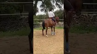 Primeras paradas