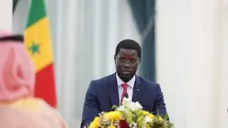 DIOMAYE damaka yeureum with his coalition. Listen to this statement from a commentator
