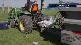 PTO Entanglement Demo