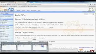 1 How to upload DIDs in Bulk   Freepbx