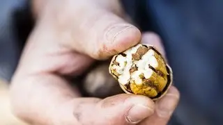 Deep Roots: A Georgia Family's Pecan Farm | Southern Living