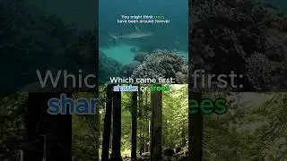 🦈 Sharks vs Trees: Who&rsquo;s Older? 🌳