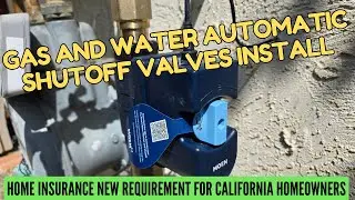 2025 DIY (Not!):  We had Gas & Water Auto Shutoff Valves Installed at Our Home