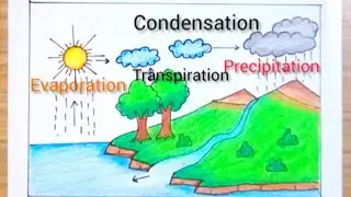 How to Draw Water Cycle|| Very Easy water cycle diagram drawing step by step.