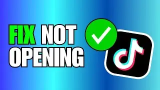 How To Fix TikTok Not Opening/Working in iPhone