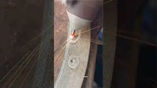 Cold Welding Machine - Capacitor discharge instantaneous pulsed TIG welding