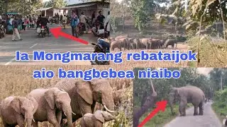 Mai dakna mangsonge da.oba Mongma bang.e rebataijok@Selnathmarakvlog #sbolwarimixtv