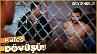 Kara Kemal kafes d&ouml;v&uuml;ş&uuml;nde! 💥 | Kertenkele 🦎