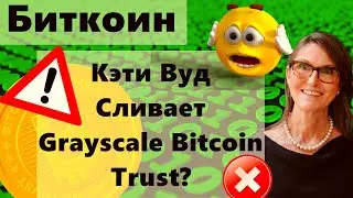 Биткоин Киты в замешательстве? Кэти Вуд Сливает Grayscale Bitcoin Trust? Социальные метрики