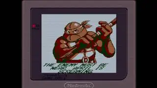 EverDrive GB X7 + Super Game Boy 2 @ Super NT | 1st Test