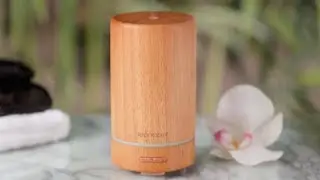 SpaRoom NatureMist Natural Wood Finish Ultrasonic Essential Oil Diffuser