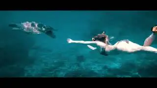 Similan Day trip