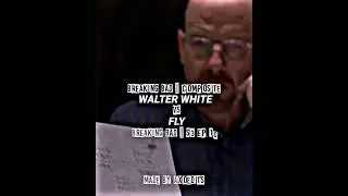 Walter White vs Fly | Breaking Bad inverse battle