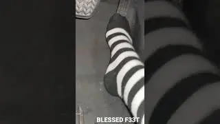 Blessed F33t With Socks