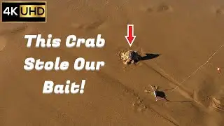 Night Fishing at Bengello Beach with Friends | Beach Drone Fishing 4K