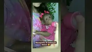 Macaquinha reborn de estima&ccedil;&atilde;o.