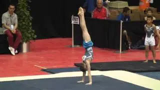 David Pochinka - 2015 JO Nationals - Level 9 JE