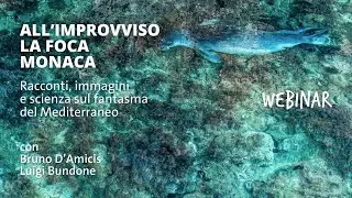 ALL'IMPROVVISO LA FOCA MONACA - WEBINAR