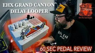 EHX Grand Canyon Delay Looper - 60 Second Pedal Review