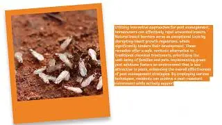 EMK Termite & Pest Control Sydney - Natural Termite Treatment Options You Can Trust