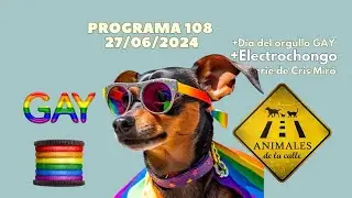 Animales de la calle 108 - 27/06/2024 #OrgulloGay